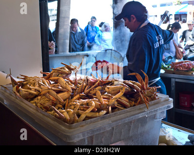 Frische gedünstete Krabben am Fisch lokal Fishermans Wharf San Francisco Kalifornien, USA Stockfoto