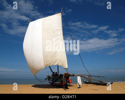 Sri Lanka Fischerboot mit stabilisierenden Ausleger am Strand von Negombo mit hellen weißen Segel kontrastierenden gegen blauen Himmel Stockfoto