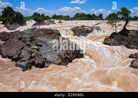 Wasserfall Stockfoto