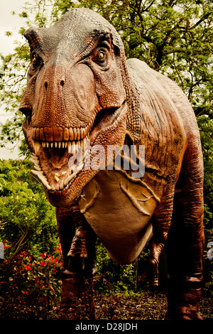 Ein Modell eines Tyrannosaurus Rex. Ein Teil der Dinosaurier beißen zurück Ausstellung im Zoo von Chester im Sommer 2012. Stockfoto