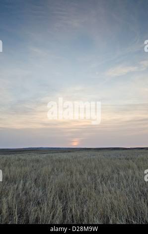 Einem einsamen Feld bei Sonnenuntergang auf der Pine Ridge Reservation in South Dakota Stockfoto