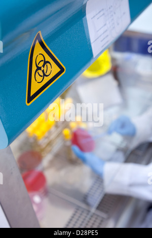 Münster, die Biohazard auf einer Arbeitsstation anmelden Stockfoto