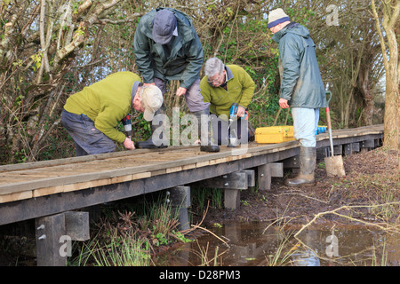 Senior Ramblers Footpath Volunteers Working Party Volunteering Building a Boardwalk over Boggy fen in Cors Bodilio Naturreservat Anglesey Wales UK Stockfoto