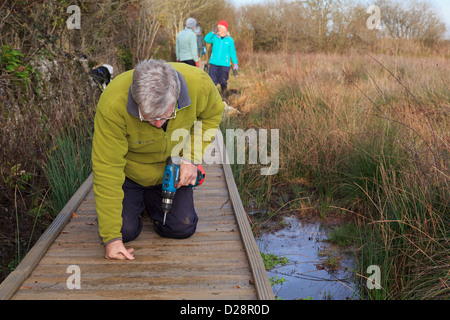 Rambler Fußweg ehrenamtlich arbeiten, Aufbau einer Promenade über sumpfiges Moor in Cors Bodeilio Naturschutzgebiet auf Anglesey Wales UK Stockfoto