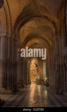 Innenansicht der Kathedrale von Ely Stockfoto