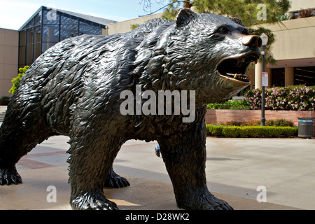 Der Bruin Bär an der University of California Los Angeles Stockfoto