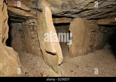 Hetty Pegler Tump, Uley Long Barrow 3000BC Blick von beiden Seiten chambersr Stockfoto