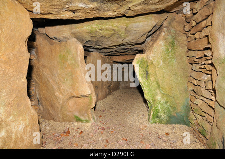 Hetty Peglers Tump, Uley Long Barrow 3000BC Ansicht von innen Hauptkammer Stockfoto