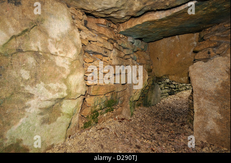 Hetty Pegler Tump, Uley Long Barrow 3000BC Blick auf Eingang von innen Hauptkammer Stockfoto