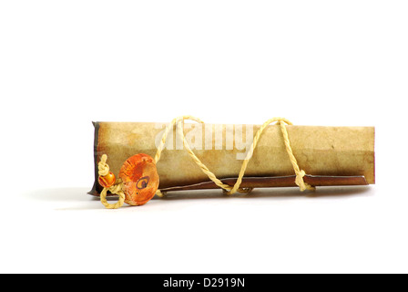 Alten Rolled Pergament isoliert auf weißem Hintergrund Stockfoto, Bild