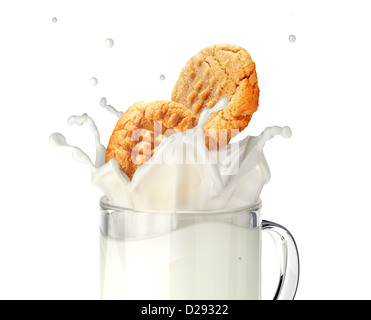 Zwei Cookies Kekse fallen in einen Glaskrug voll Milch spritzt. Nahaufnahme, auf weißem Hintergrund mit Beschneidungspfad. Stockfoto