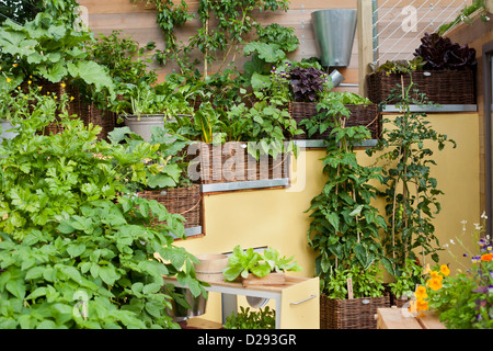 Zeitgenössische gestaltete Terrasse mit dekorativen Behältern mit Esswaren gepflanzt. Stockfoto