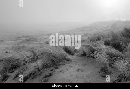 Frost am frühen Morgennebel deckt die Dünen im Süden Gare in der Nähe von Redcar auf Teesside, UK Stockfoto