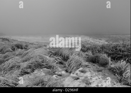 Frost am frühen Morgennebel deckt die Dünen im Süden Gare in der Nähe von Redcar auf Teesside, UK Stockfoto