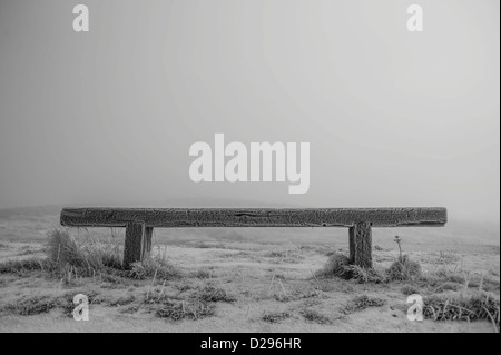 Frost am frühen Morgennebel deckt die Dünen im Süden Gare in der Nähe von Redcar auf Teesside, UK und eine Bank ist mit starkem Frost bedeckt. Stockfoto