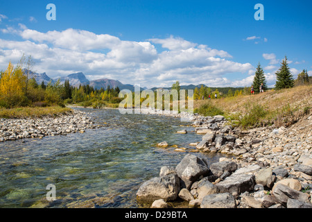 Klare saubere Katze Creek in Kananaskis Country in Alberta, Kanada Stockfoto