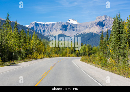 Icefields Parkway im Jasper National Park in Alberta, Kanada Stockfoto