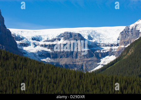 Schneebedeckte Berggipfel, entlang des Icefields Parkway im Jasper National Park in Alberta, Kanada Stockfoto