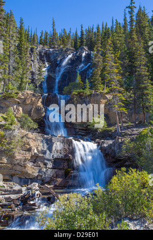 Tangle Creek Wasserfälle im Jasper National Park in Alberta, Kanada Stockfoto