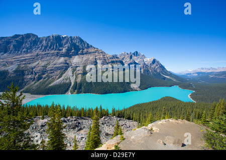 Peyto Lake entlang des Icefields Parkway im Banff National Park in Alberta, Kanada Stockfoto