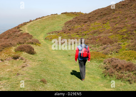 Foel Fenlli Hügel Fort Offas Dyke Path und Walker Clwydian Bereich Denbighshire Wales UK Stockfoto