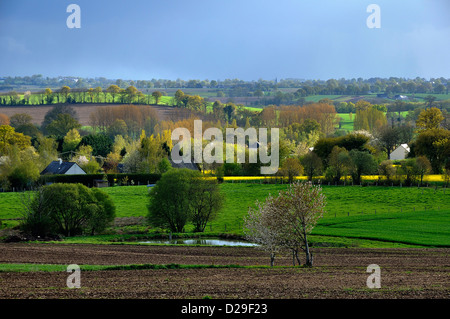 Ackerland im Norden der Mayenne im Frühjahr (April), Wiesen, Hecken, freistehende Häuser (Mayenne, Pays de la Loire, Frankreich, Europa). Stockfoto