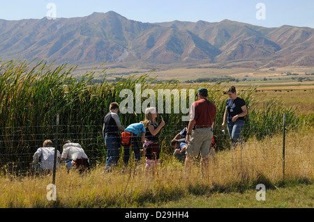 Biologie Klasse Exkursion Stockfoto