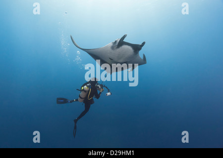 Taucher, die Aufnahme eines Fotos unter ozeanischen Riesenmanta im Archipielgo de Revillagigedo, Mexiko, Rocio del Mar, Socorro Inseln Stockfoto