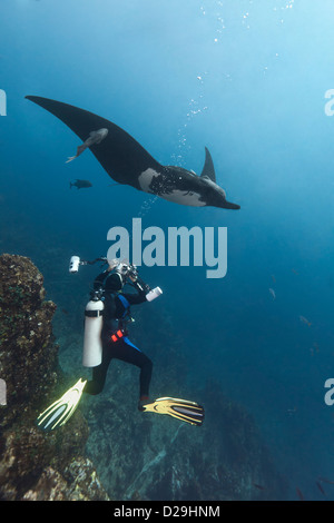 Taucher, die Aufnahme eines Fotos unter ozeanischen Riesenmanta im Archipielgo de Revillagigedo, Mexiko, Rocio del Mar, Socorro Inseln Stockfoto