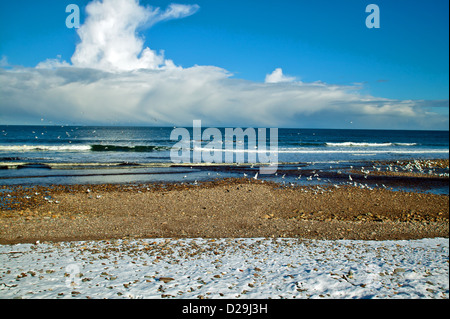 CULLEN STRAND IM WINTER MIT MÖWEN UND WOLKEN Stockfoto