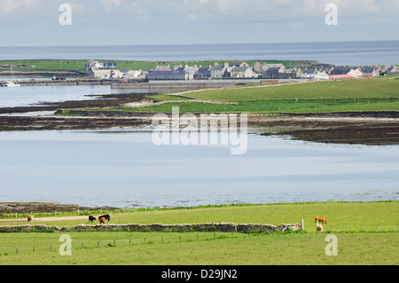 Das Dorf von Whitehall auf der Insel Stronsay, Orkney Inseln, Schottland. Stockfoto