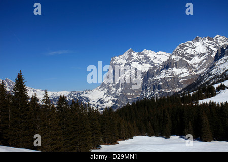 Winterschnee, Schrekhorn Berg, Skigebiet Grindelwald; Schweizer Alpen Jungfrau - Aletsch; Berner Oberland; Schweiz; Europa Stockfoto