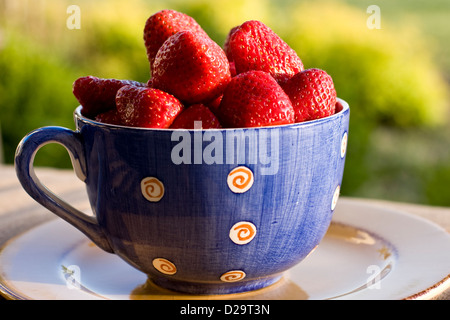 Schüssel mit frischen Reifen Erdbeeren Stockfoto