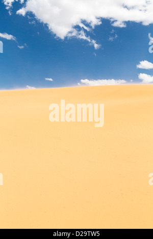 Nahaufnahme einer Sanddüne in der Wüste tagsüber Stockfoto