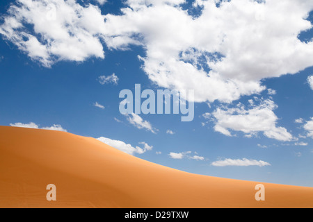 Coral Pink Sand Dunes State Park, Utah, USA Stockfoto
