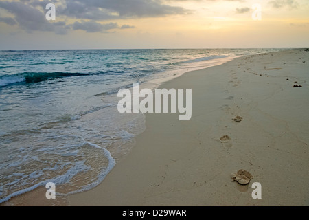 Fußspuren im Sand bei Tagesanbruch am einsamen Strand an Punta Cana, Dominikanische Republik, Karibik Stockfoto