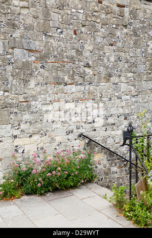 Steinplatten und Steinmauer in einem formalen Garten mit vielen Exemplar Stockfoto