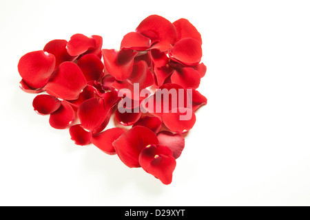 Rote Rosenblätter in der Form eines Herzens. Stockfoto