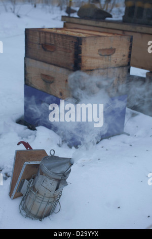 Winter beginnt am Bienenstock während Raucher einsatzbereit ist. Stockfoto