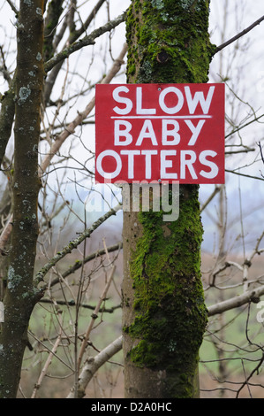 Hausgemachte Warnschild genagelt auf einem Baum an der Seite der Straße in Lochwinnoch, Schottland Stockfoto