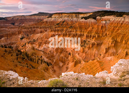 Blick auf Cedar Breaks Amphitheater aus der Wälle Overlook Trail in Cedar Breaks National Monument in Utah Stockfoto