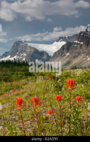 Bogen-Gipfel über Pinsel entlang des Icefields Parkway im Banff Nationalpark, Alberta, Kanada. Stockfoto