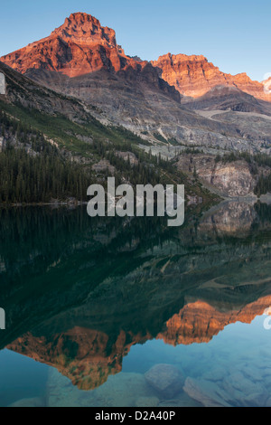 Abendlicht am Mount Huber und Mount Lefroy spiegelt sich in Lake O'Hara, Yoho-Nationalpark, Kanadische Rocky Mountains, British Columbia, Stockfoto