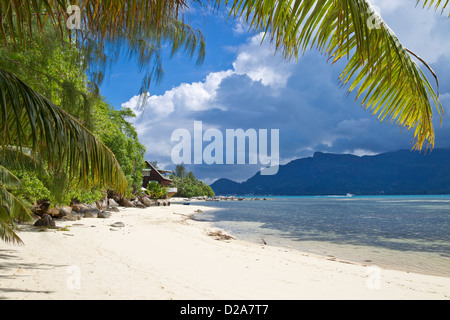 Cerf Island Himmel Habitation de Cerfs Stockfoto