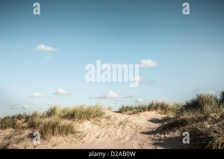 Grasbewachsenen Sanddünen unter blauem Himmel Stockfoto