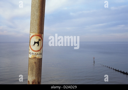 Alu-Mast mit Ankündigung mit Hund Symbol besagt keine Verschmutzung vor ruhigen grauen Meer unter bewölktem Himmel rosten Stockfoto