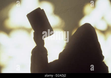 Schatten der vermummten Mönch oder Priester hält Bibel vor Blobs des Lichts von Kirchenfenstern Stockfoto