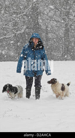 Petworth, Sussex. VEREINIGTES KÖNIGREICH. 18. Januar 2013. Kalte Hände und Füße für diese Dogwalker in der Nähe von Petworth in Sussex - wie Schnee bedeckten weite Gebiete des Vereinigten Königreichs Stockfoto
