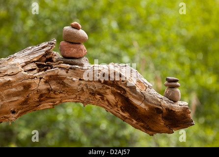 Stapel von Steinen auf einem Ast am Buddha Beach in der Nähe von Cathedral Rock in West Sedona, Arizona, USA Stockfoto