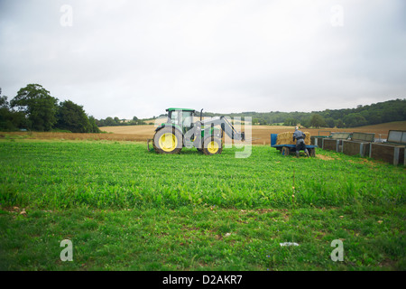 Traktor im Bereich Stockfoto